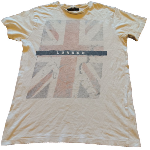 Cedar wood state - state, t-shirt