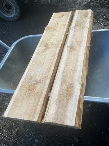 Zedernholz bohlen x2 - zedernholz,